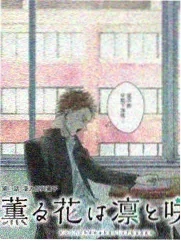 声生不息·宝岛季